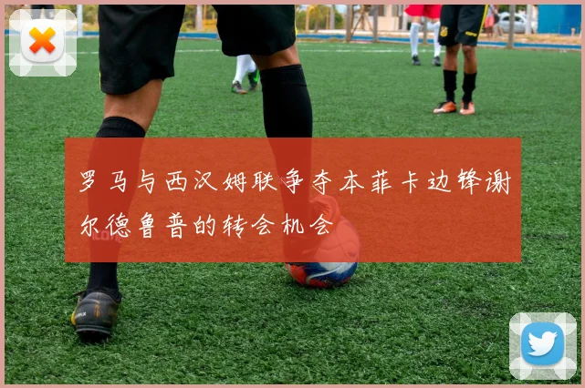 罗马与西汉姆联争夺本菲卡边锋谢尔德鲁普的转会机会