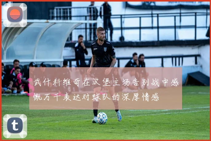 武什科维奇在汉堡主场告别战中感慨万千表达对球队的深厚情感